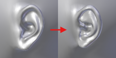 Ear_details_using_subsurf_x1.png