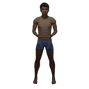 boxer_briefs_ii.png