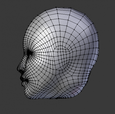 head_blend_wire.png