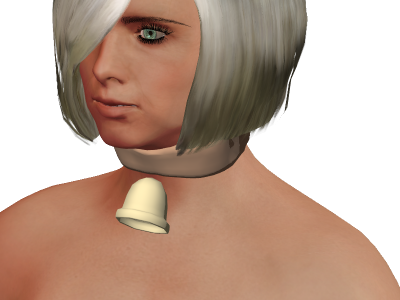 bell_collar_fixed.png