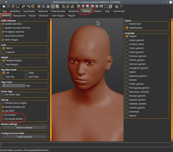 File:Glsettings.png