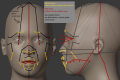 Thumbnail for version as of 09:03, 29 May 2021